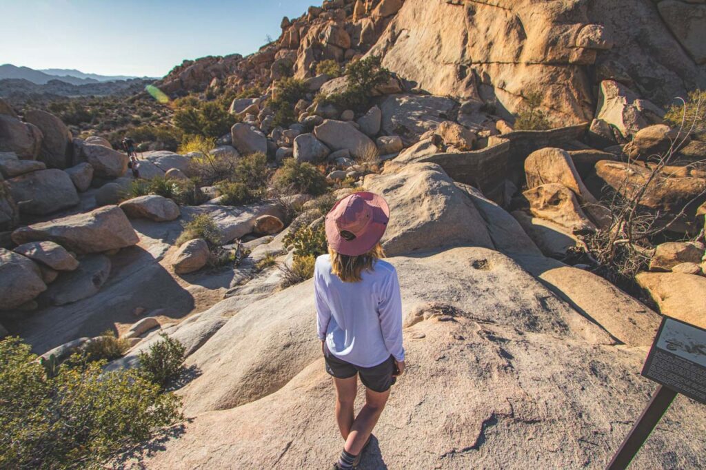 Park Narodowy Joshua Tree