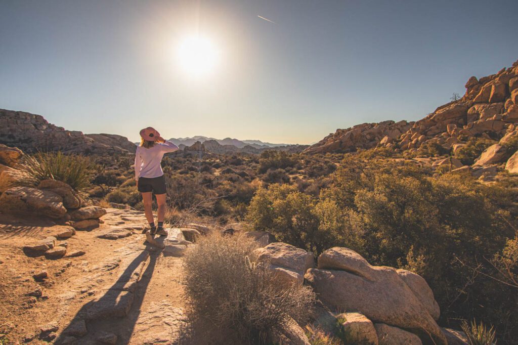 Joshua Tree kiedy jechać 