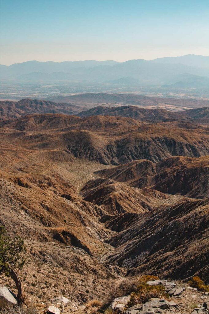 Park Narodowy Joshua Tree