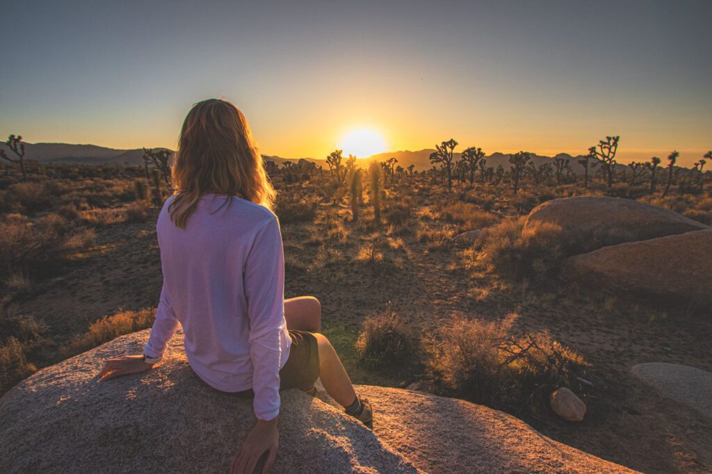 Park Narodowy Joshua Tree bilety