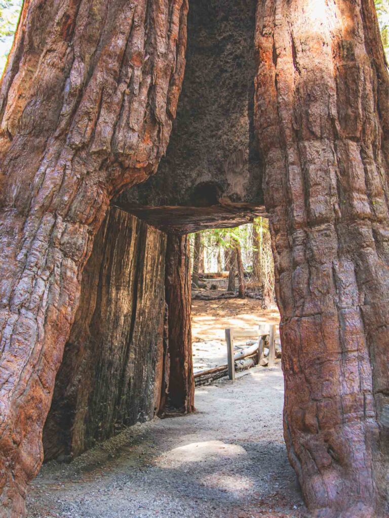 Park Narodowy Yosemite